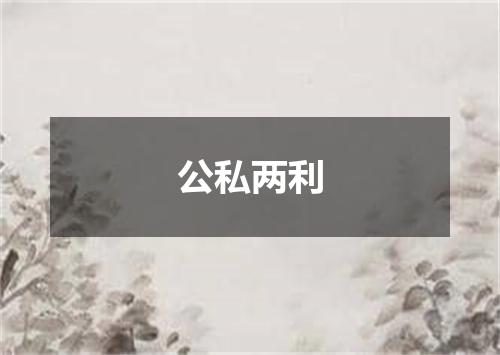 公私两利