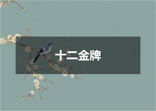 十二金牌
