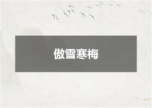 傲雪寒梅