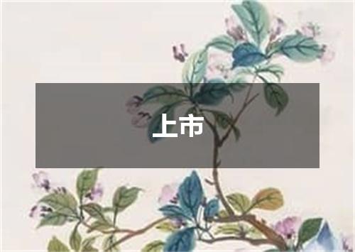 上市