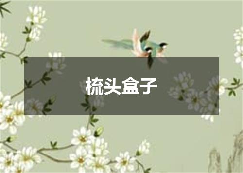 梳头盒子