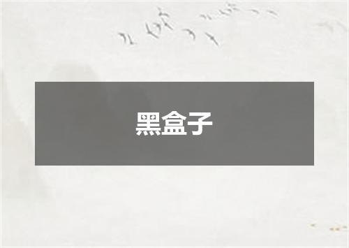 黑盒子