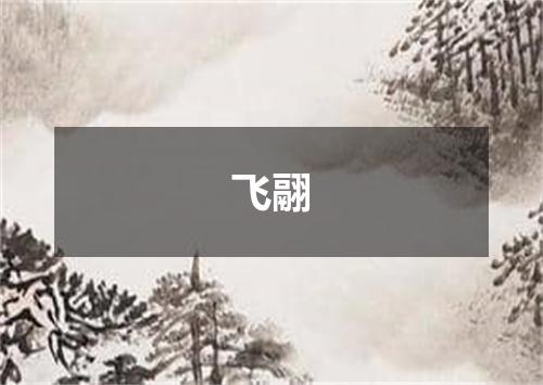 飞翮