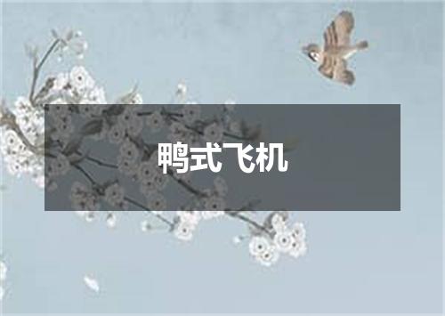 鸭式飞机