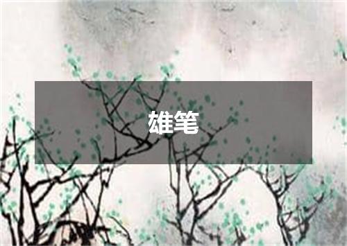 雄笔