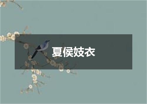 夏侯妓衣