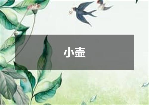 小壶