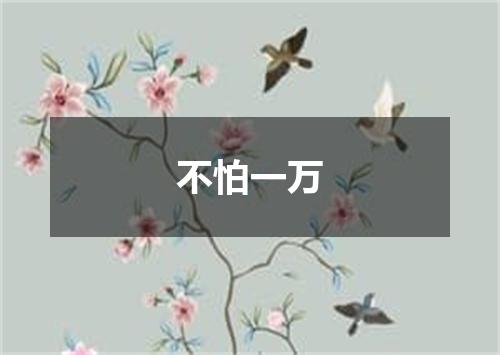 不怕一万
