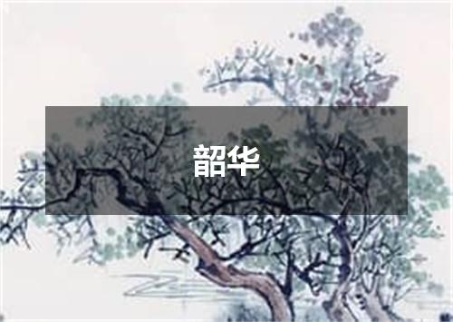 韶华