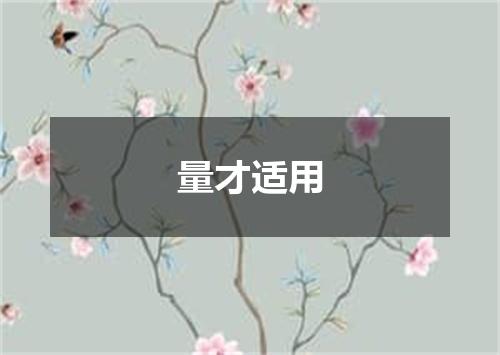 量才适用