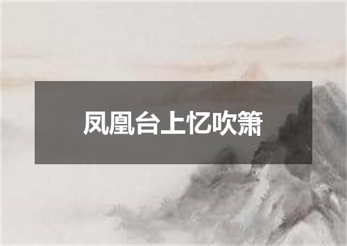 凤凰台上忆吹箫