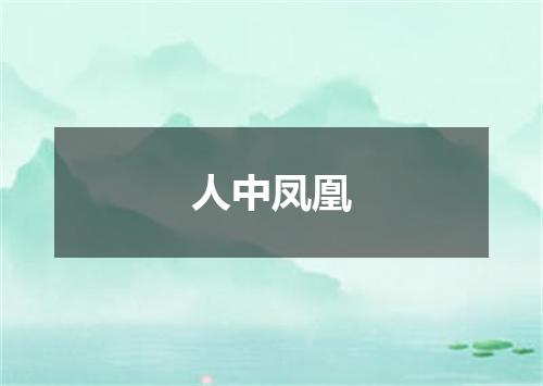 人中凤凰