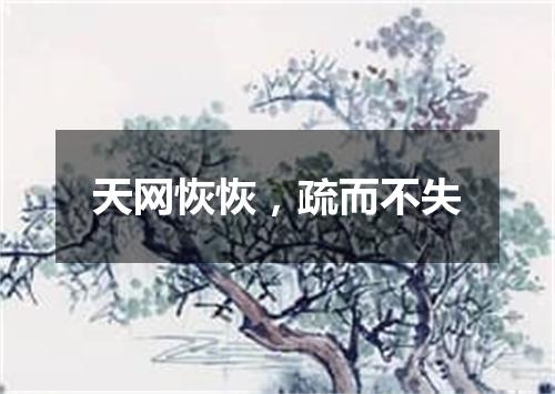 天网恢恢，疏而不失