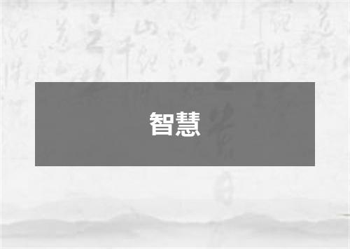 智慧