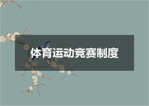 体育运动竞赛制度