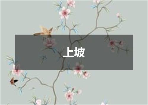 上坡