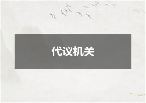 代议机关