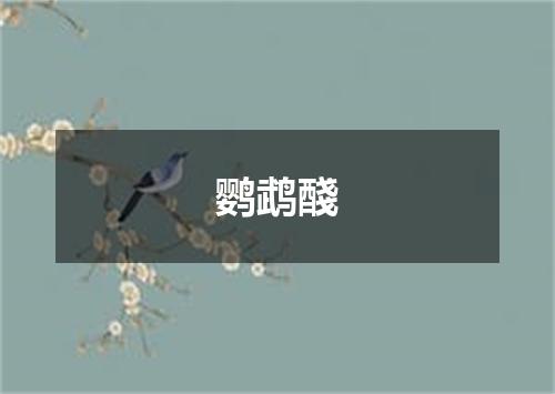 鹦鹉醆