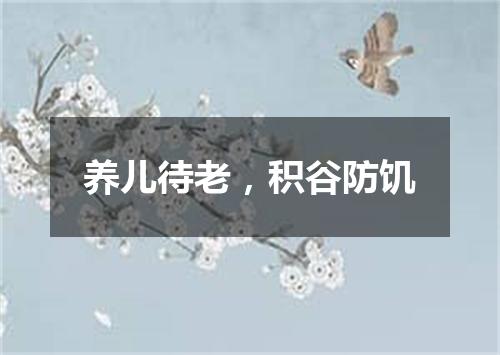 养儿待老，积谷防饥