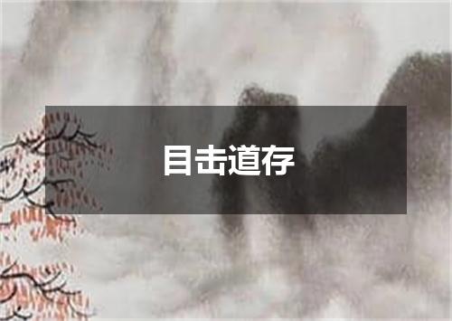 目击道存
