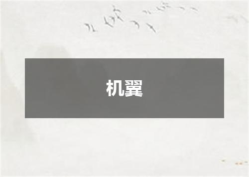 机翼