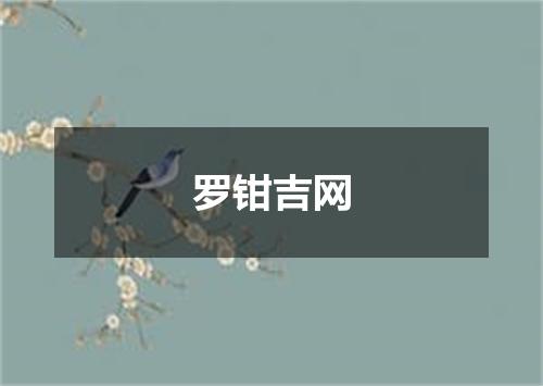 罗钳吉网