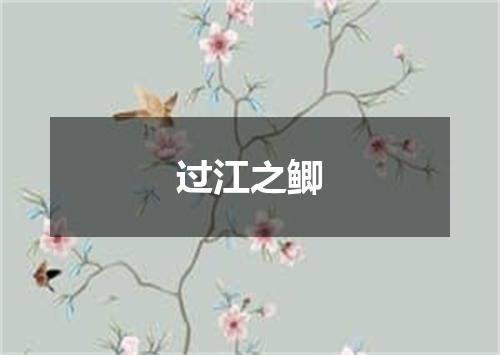 过江之鲫