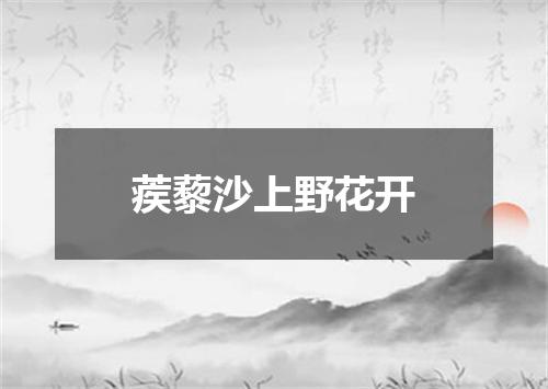 蒺藜沙上野花开