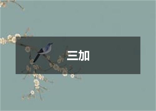 三加