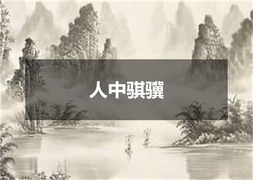 人中骐骥