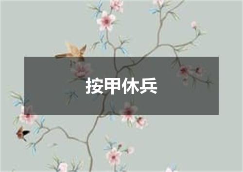 按甲休兵