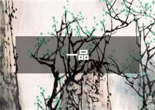 一品
