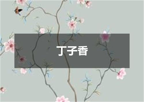 丁子香