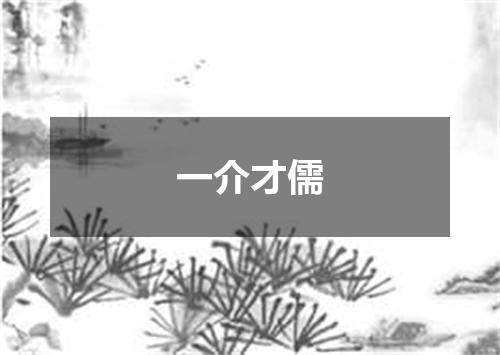 一介才儒