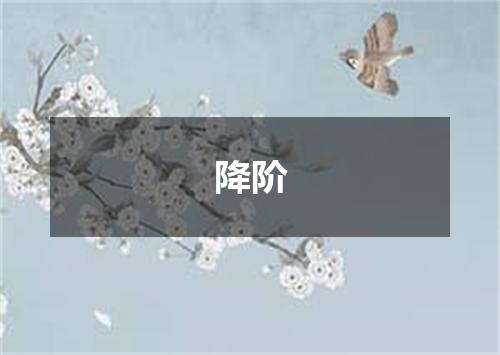 降阶