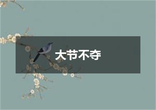 大节不夺