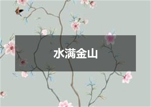 水满金山