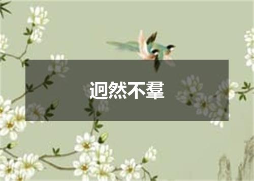 迥然不羣