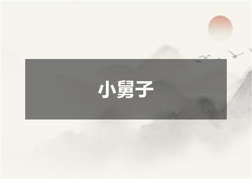小舅子