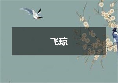 飞琼