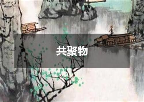 共聚物