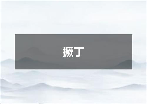 撅丁
