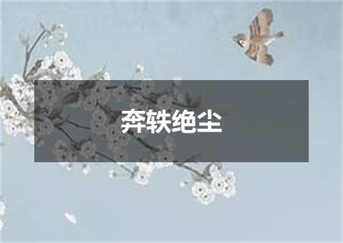 奔轶绝尘