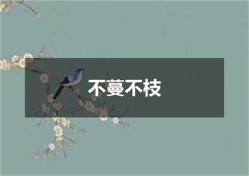 不蔓不枝