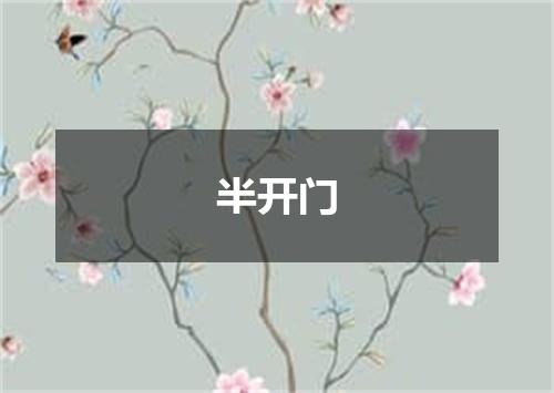 半开门