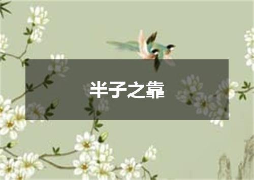 半子之靠