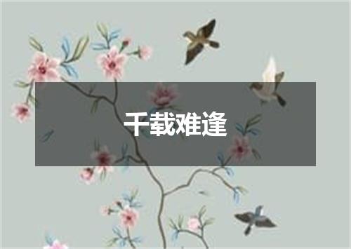 千载难逢