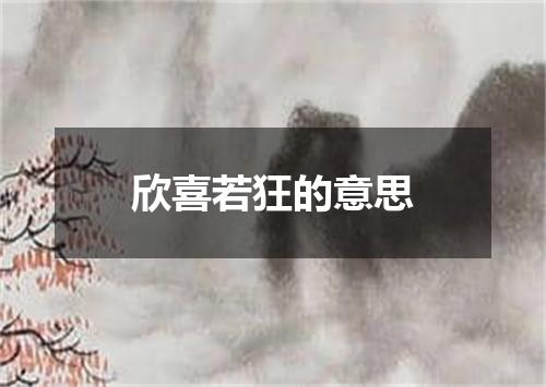 欣喜若狂的意思