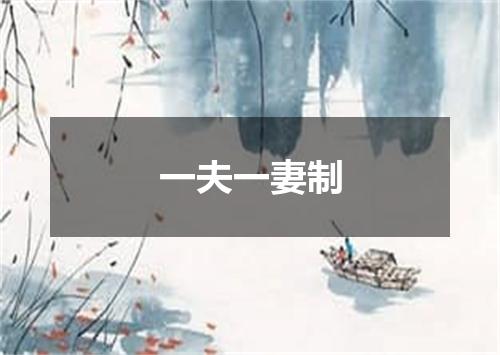 一夫一妻制