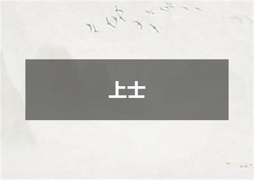 上士